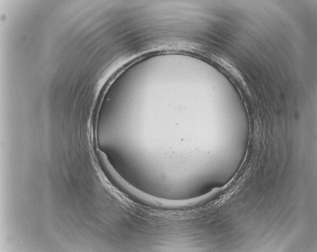 X0000058120936200510212017