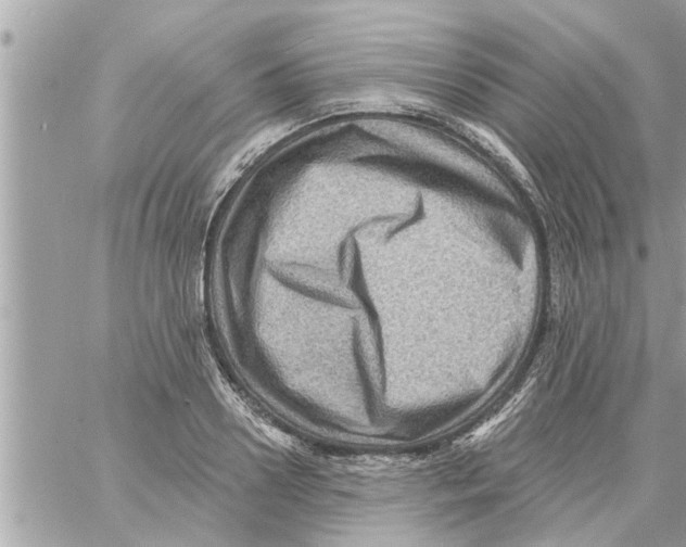 X0000058120938200510212017