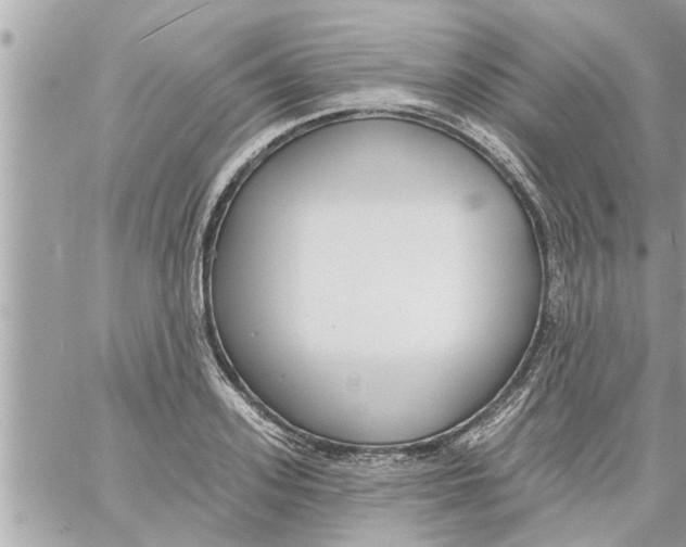 X0000058120939200510212017