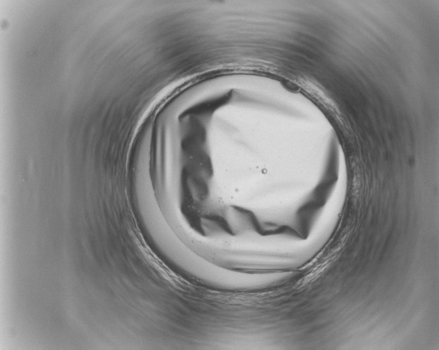 X0000058120940200510212017