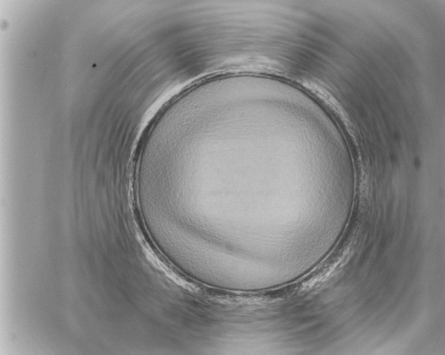 X0000058120941200510212017