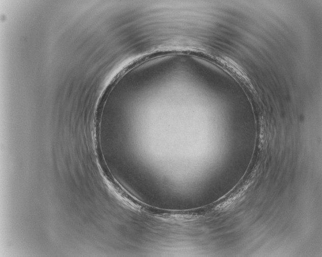 X0000058120942200510212017