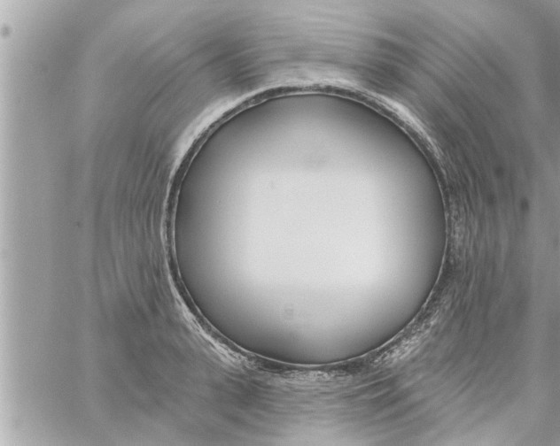 X0000058120943200510212017