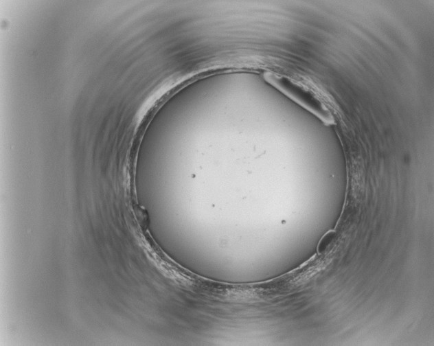 X0000058120944200510212017