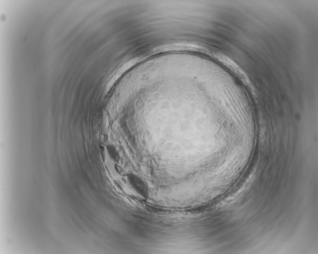 X0000058120945200510212017