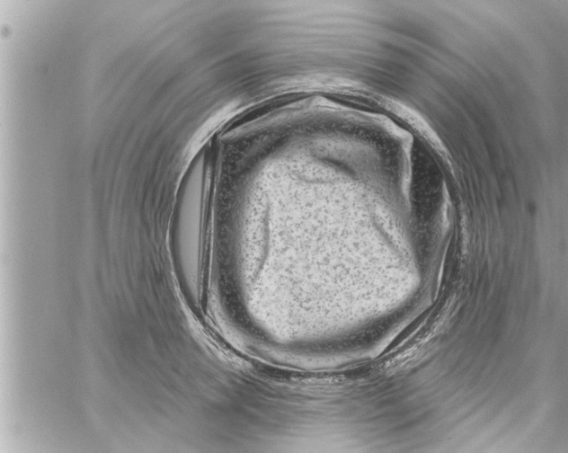 X0000058120946200510212017