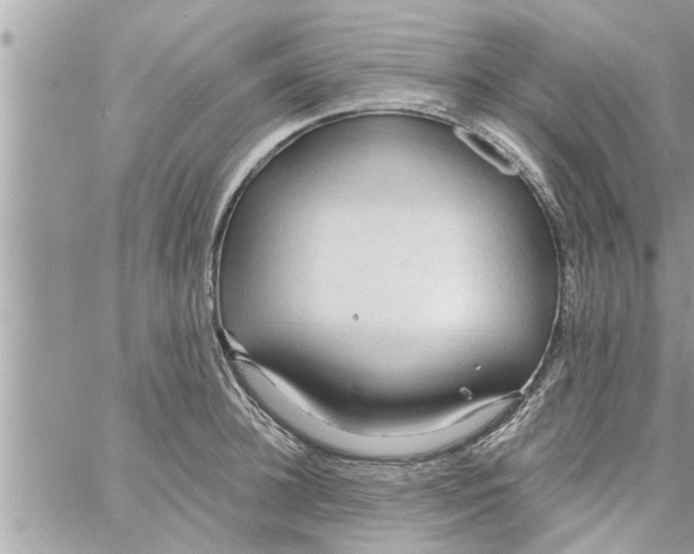 X0000058120948200510212017