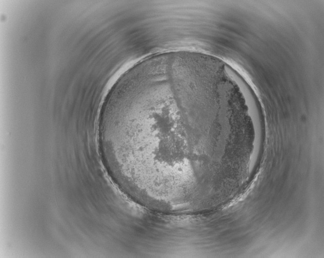 X0000058120949200510212017