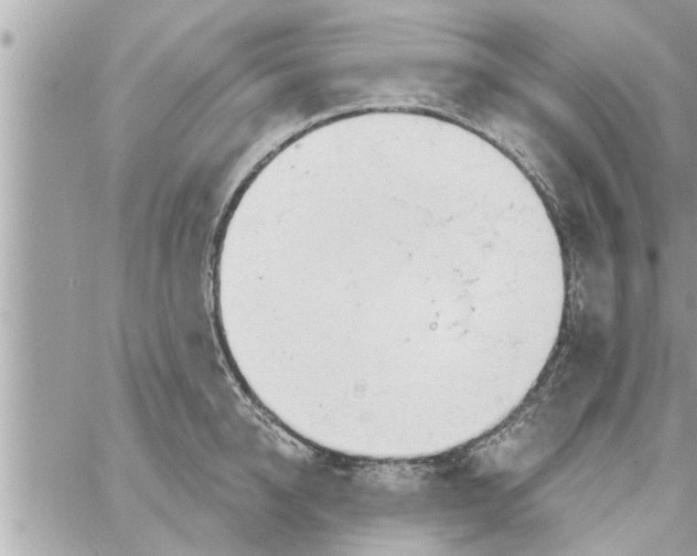 X0000058120950200510212017