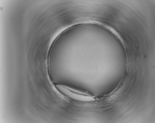 X0000058120951200510212017