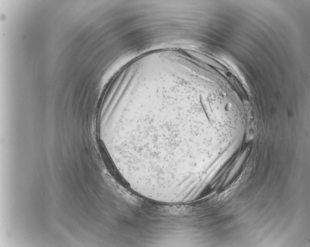 X0000058120952200510212017