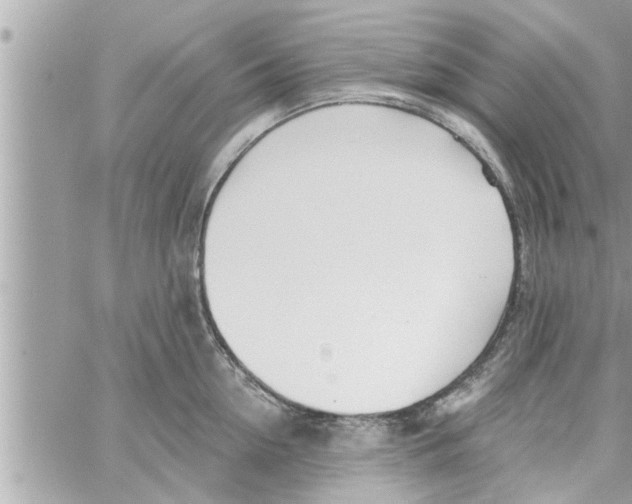 X0000058120954200510212017