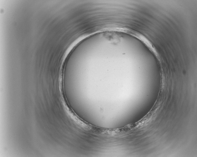 X0000058120955200510212017