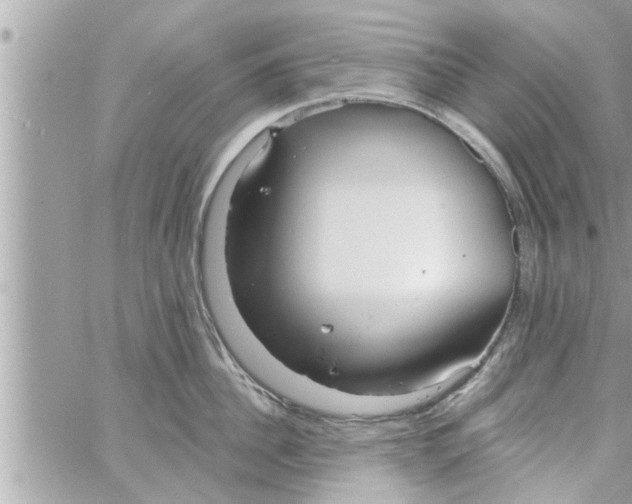 X0000058120956200510212017