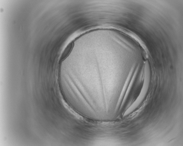 X0000058120958200510212017