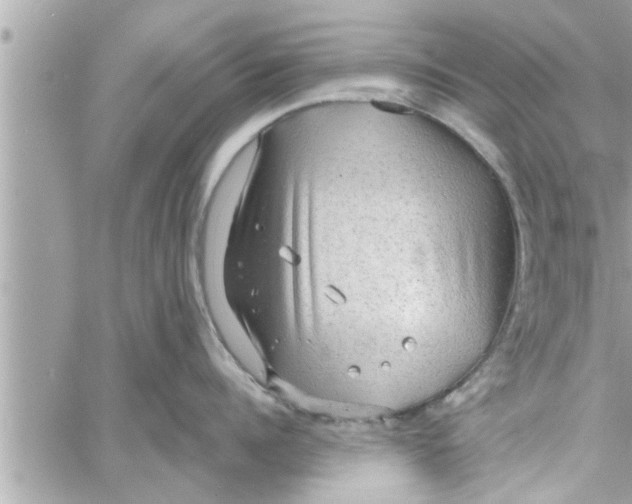 X0000058120960200510212017