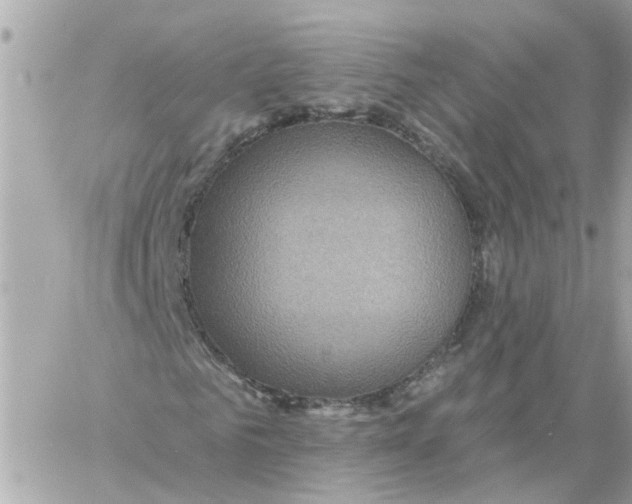 X0000058120961200510212016