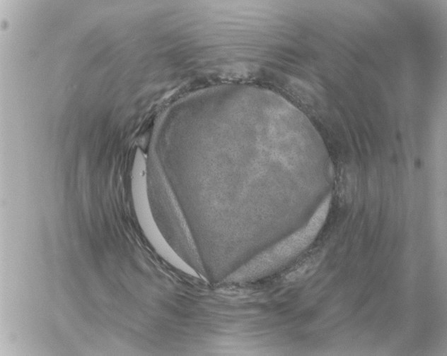 X0000058120962200510212016