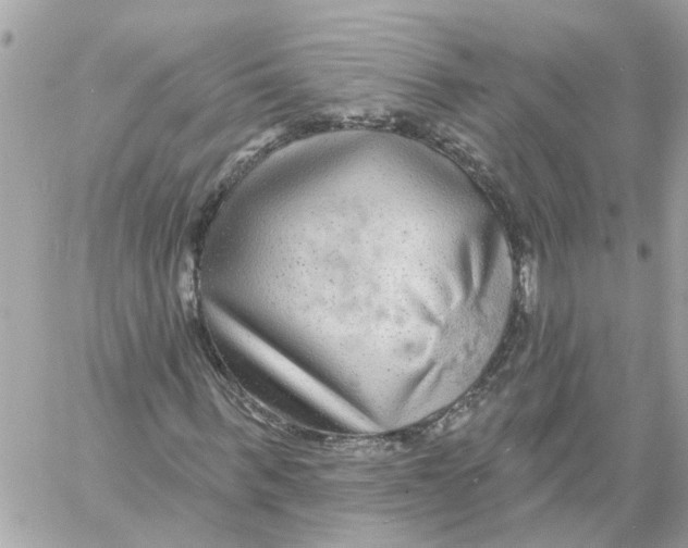 X0000058120963200510212016