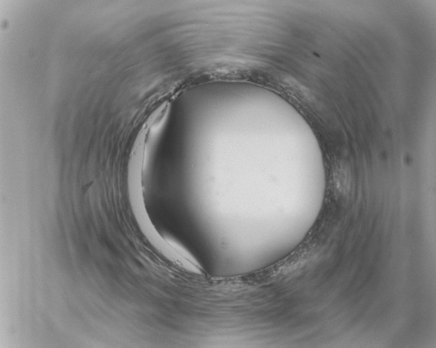 X0000058120964200510212016