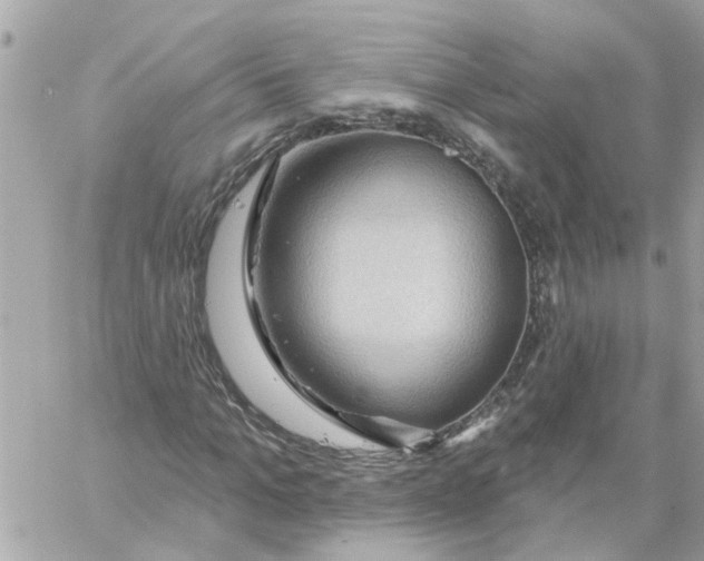 X0000058120965200510212016