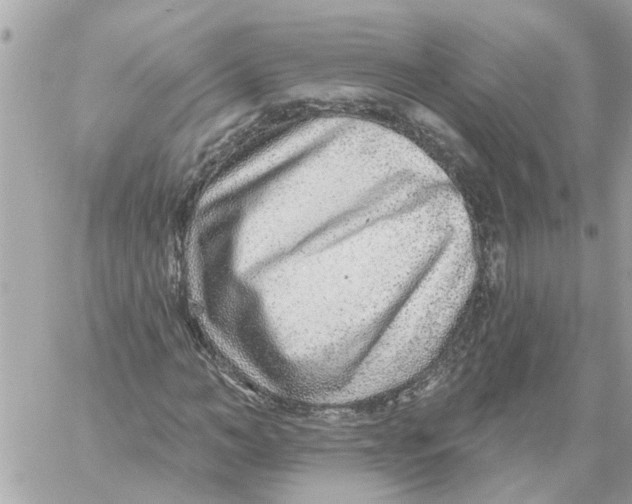 X0000058120966200510212016