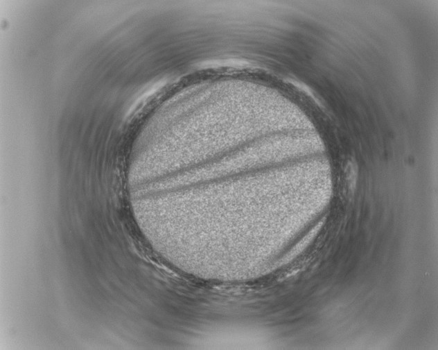 X0000058120967200510212016