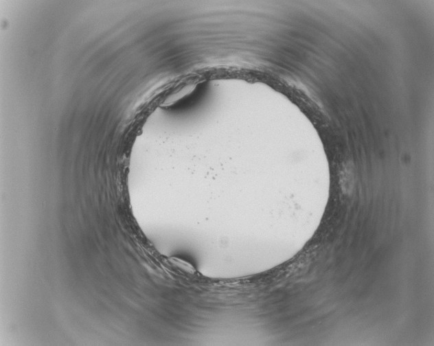 X0000058120968200510212016