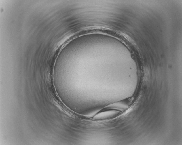 X0000058120969200510212016