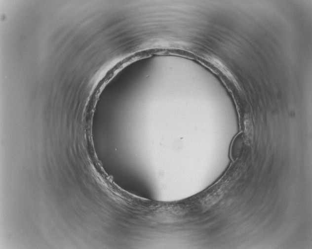 X0000058120972200510212016