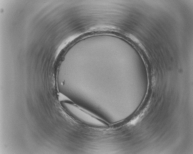 X0000058120973200510212016