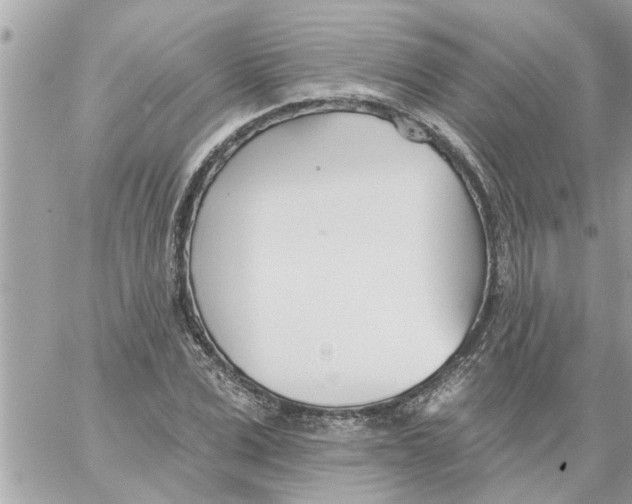 X0000058120975200510212016