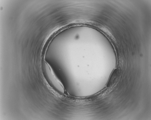 X0000058120976200510212016