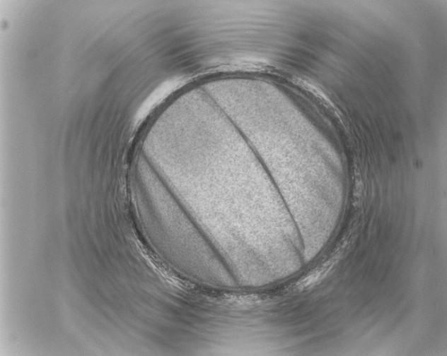 X0000058120978200510212016