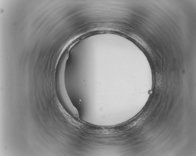 X0000058120980200510212016