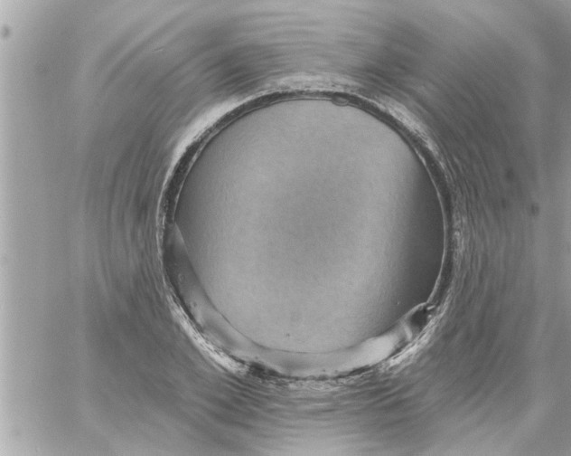 X0000058120981200510212016