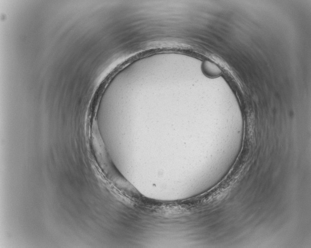 X0000058120983200510212016