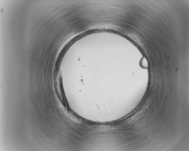 X0000058120984200510212016