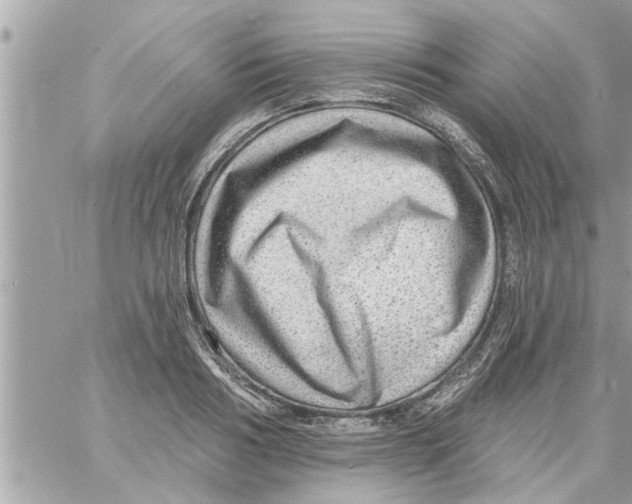 X0000058120986200510212016