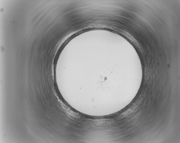 X0000058120988200510212016