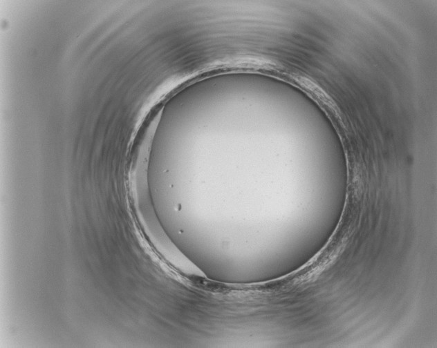 X0000058120989200510212016