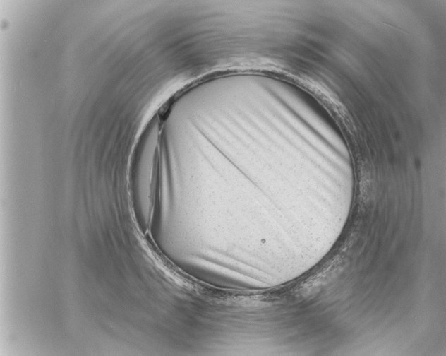 X0000058120990200510212016