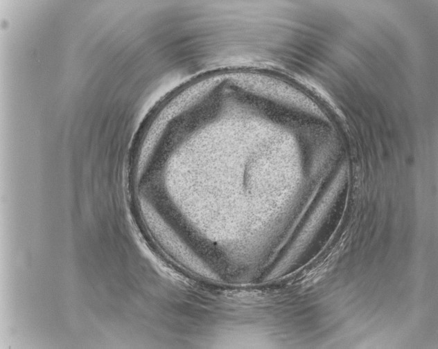 X0000058120991200510212016