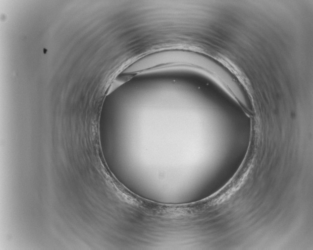 X0000058120993200510212016