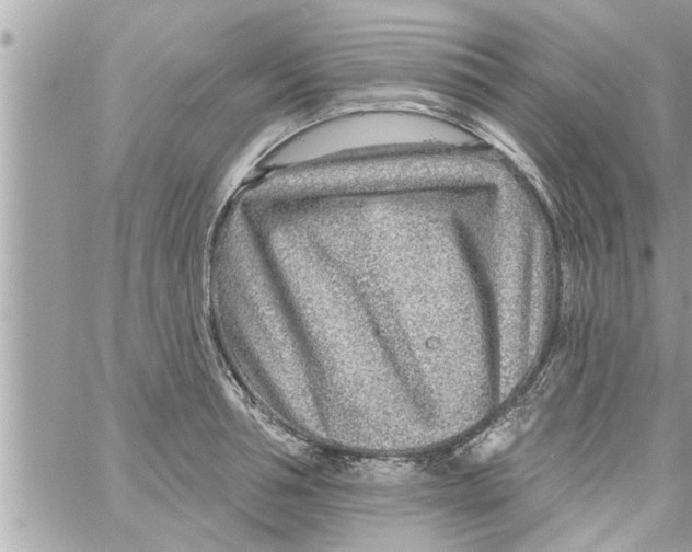 X0000058120994200510212016