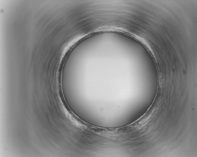 X0000058120995200510212016