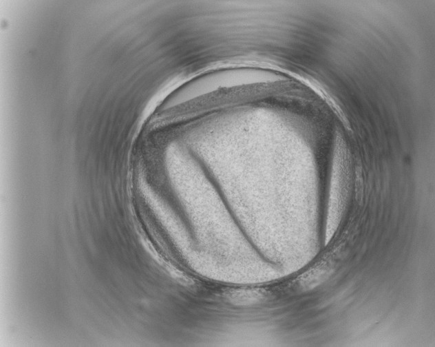 X0000058120998200510212016