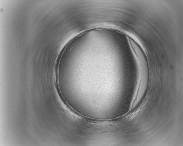 X0000058120999200510212016