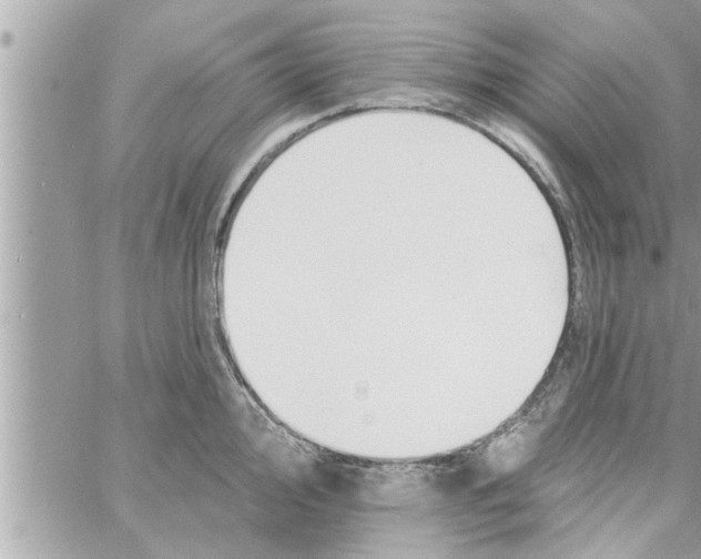 X0000058121000200510212016