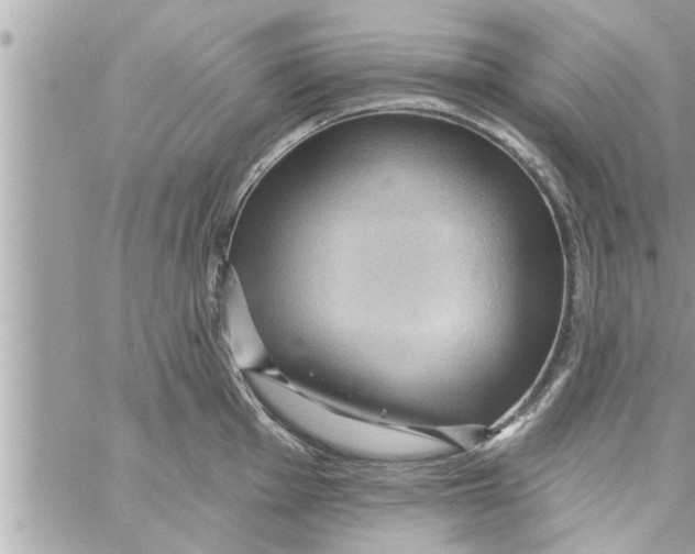 X0000058121001200510212016